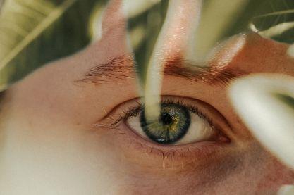 explain my sexuality to others